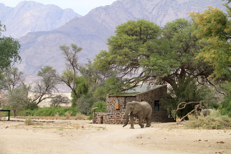 Brandberg White Lady Lodge